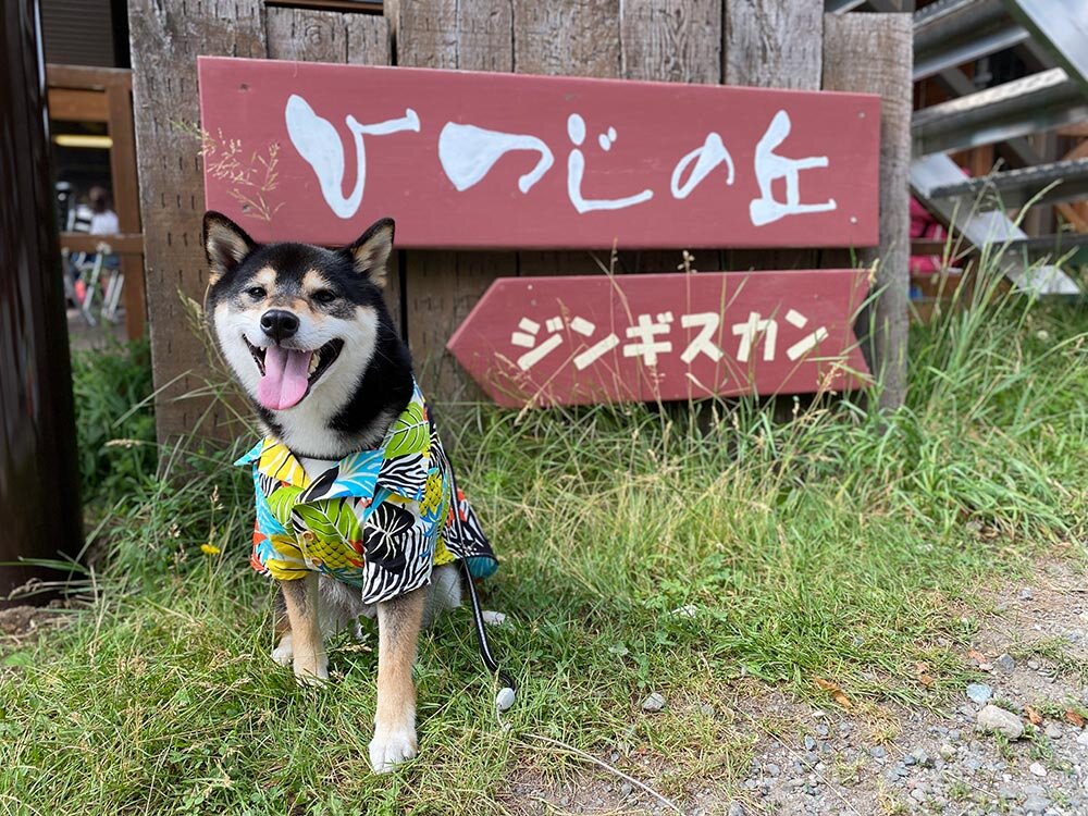 琥大朗 と北海道旅行