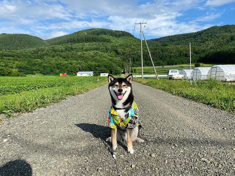 琥大朗 と北海道旅行