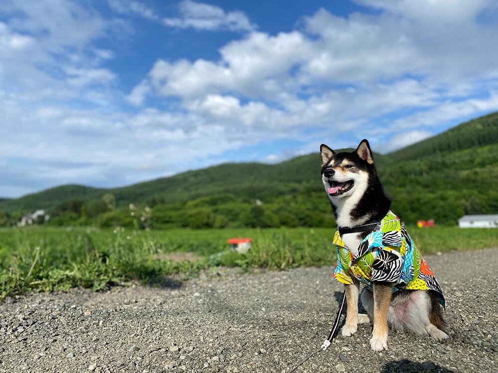 琥大朗 と北海道旅行