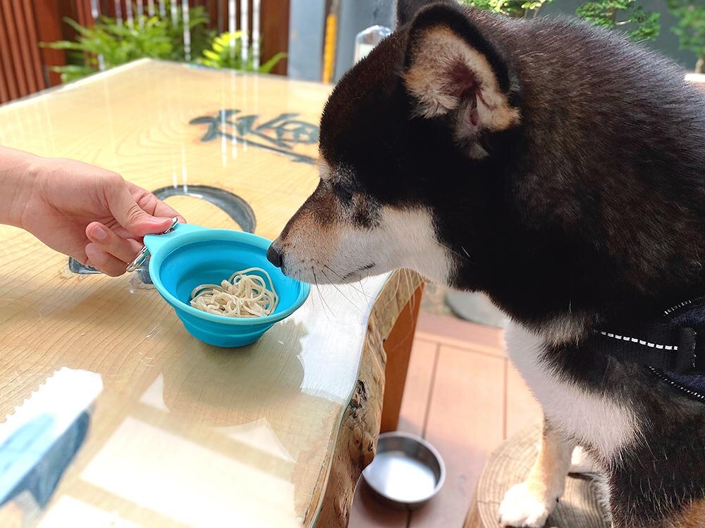 「手打ちそば蕎藤（きょうどう）」さんでランチ