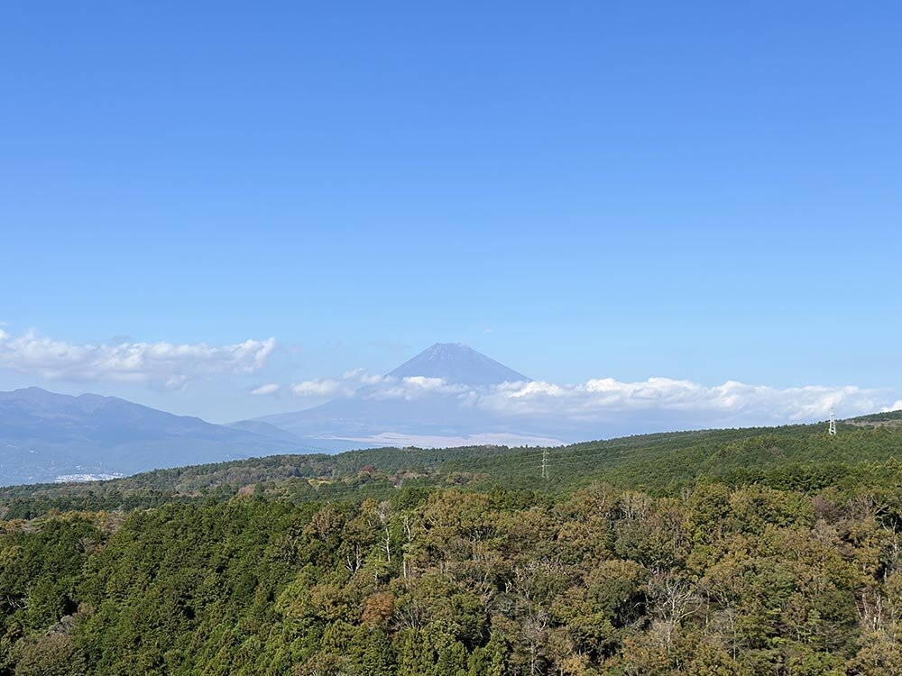 三島スカイウォーク