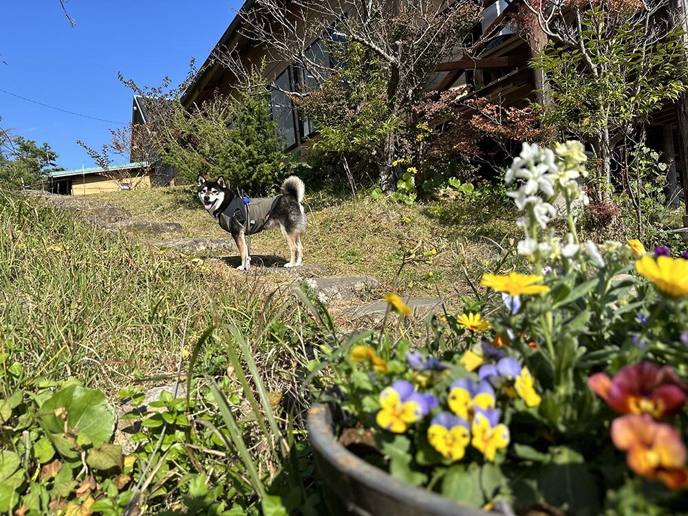 手打ちそばの「やまびこ」さん