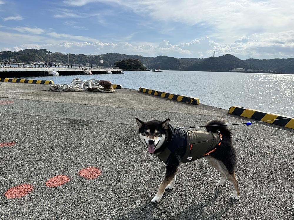 道の駅 開国下田みなと