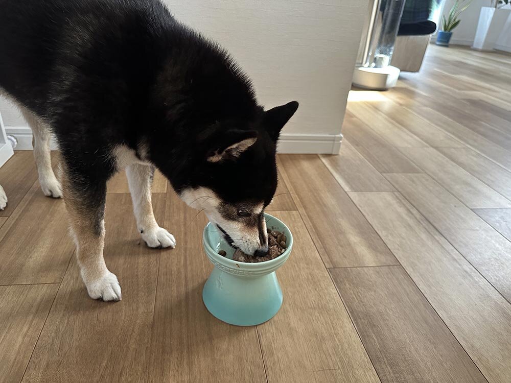 手術・退院後の食事