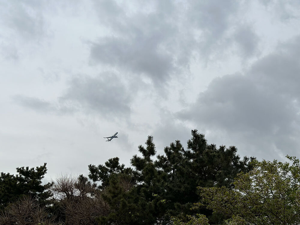 城南島海浜公園 飛行機