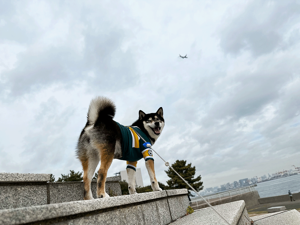 城南島海浜公園［大田区］