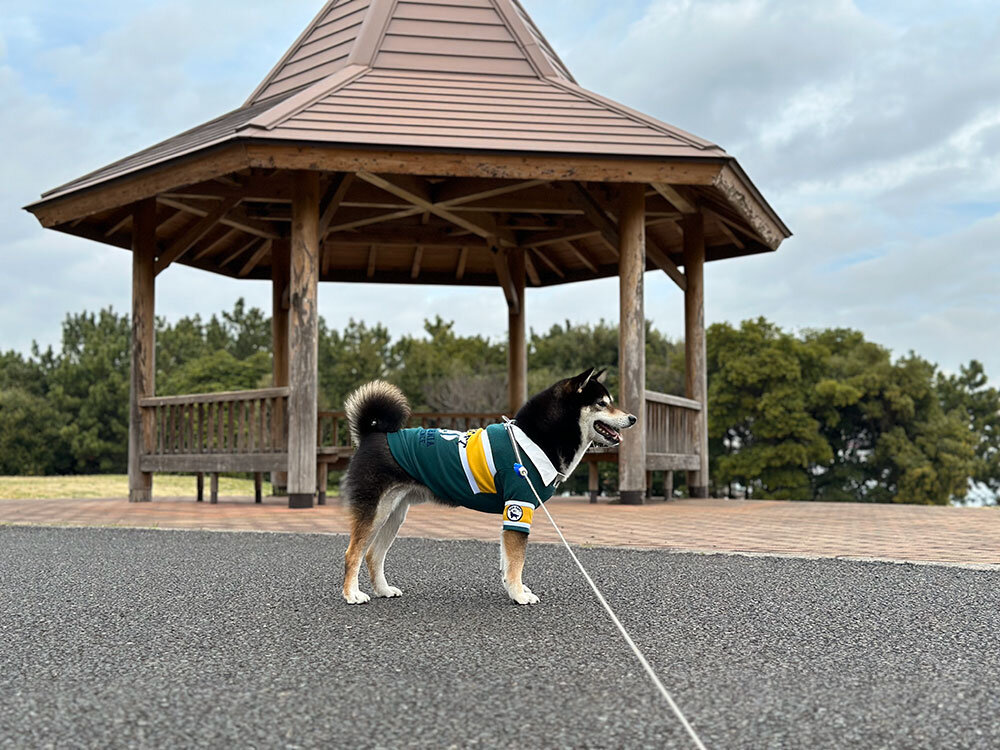 城南島海浜公園 