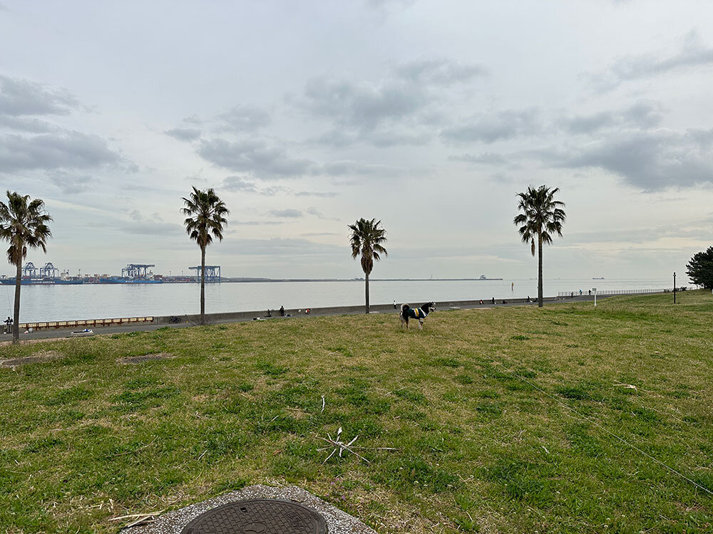 城南島海浜公園 