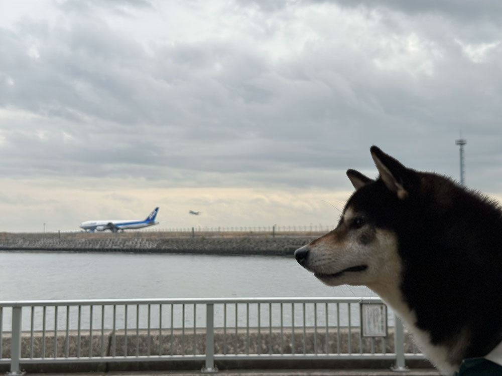 京浜島つばさ公園