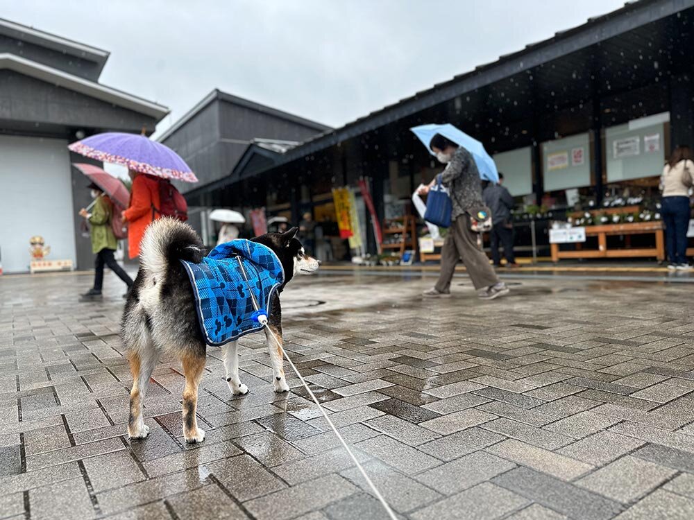 道の駅日光 日光街道ニコニコ本陣