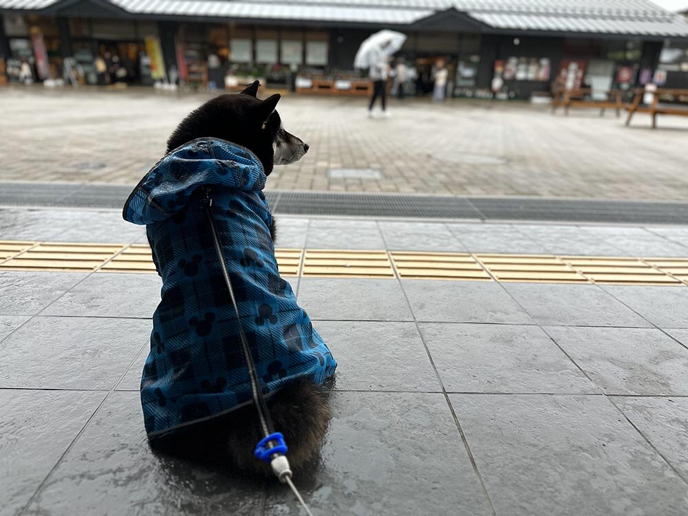 道の駅日光 日光街道ニコニコ本陣