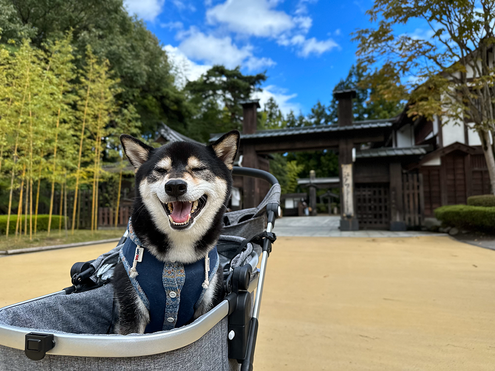 日光・鬼怒川温泉に1泊2日で行ってきました！ イメージ