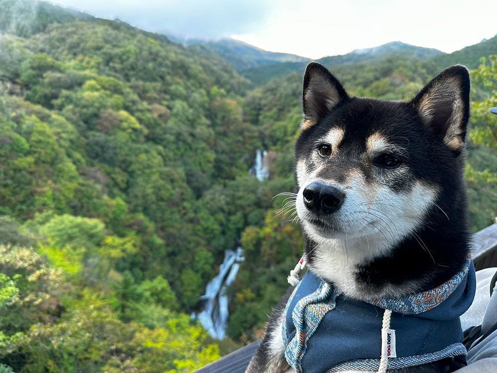 霧降の滝