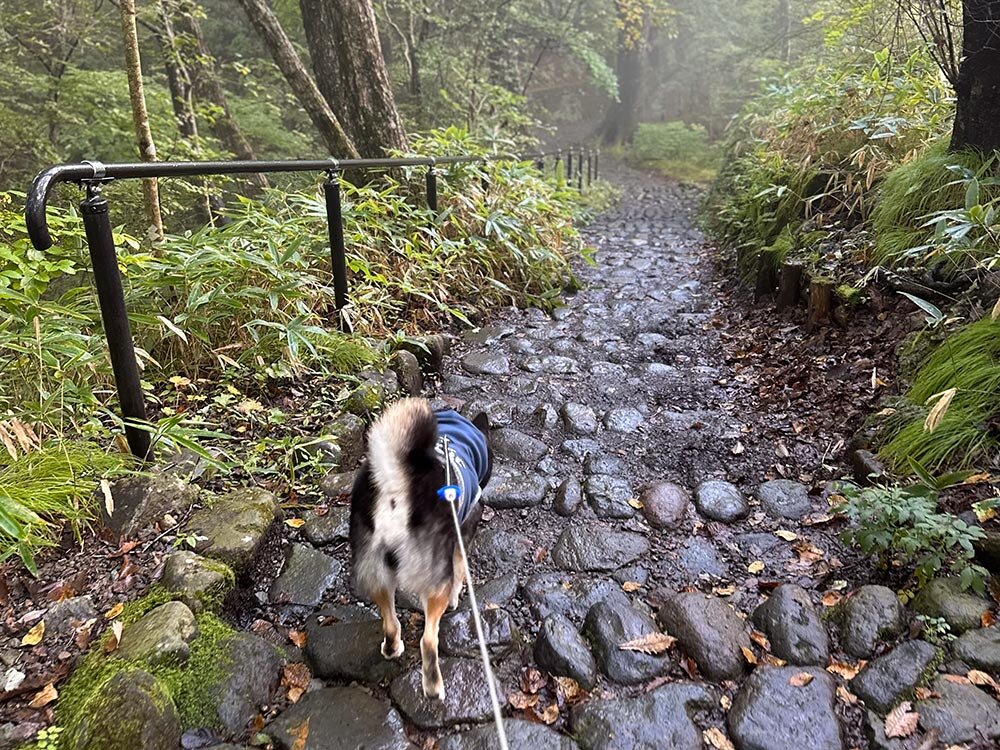 霧降の滝