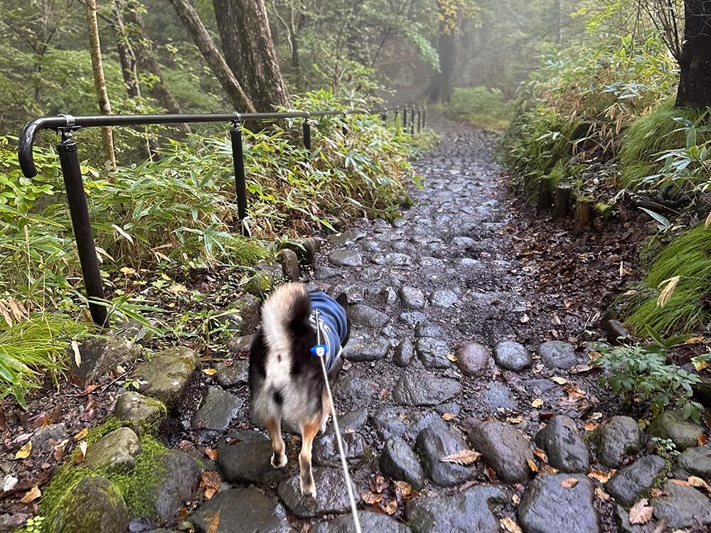 霧降の滝