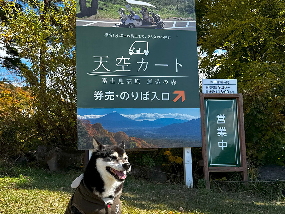 天空カート - 富士見高原リゾート 花の里［八ヶ岳］