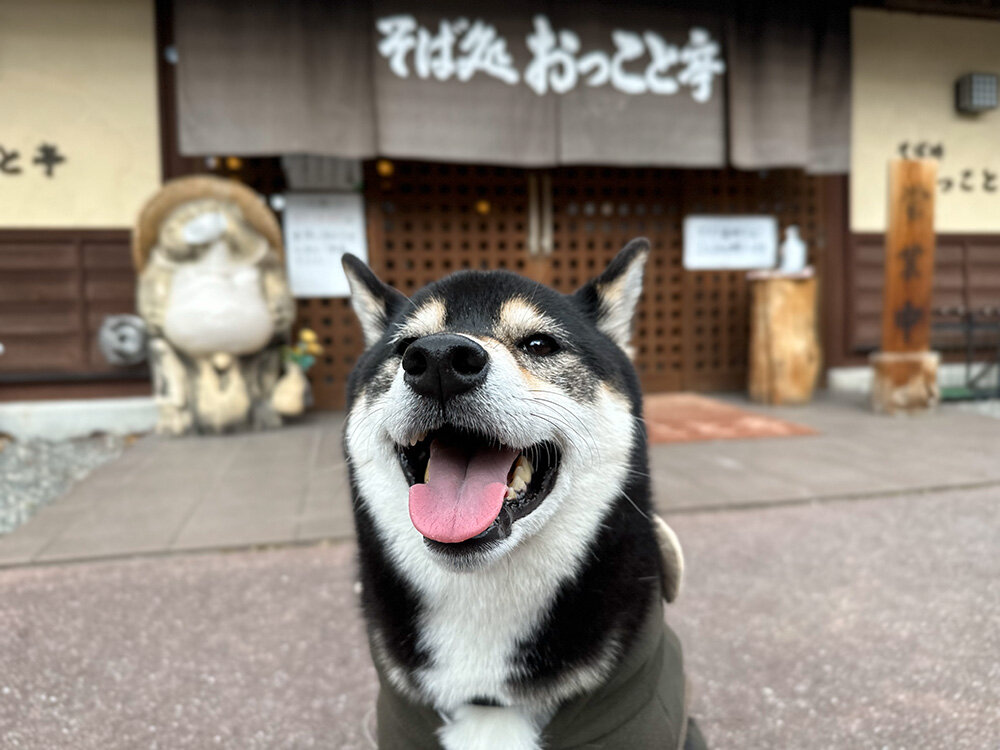 そば処 おっこと亭