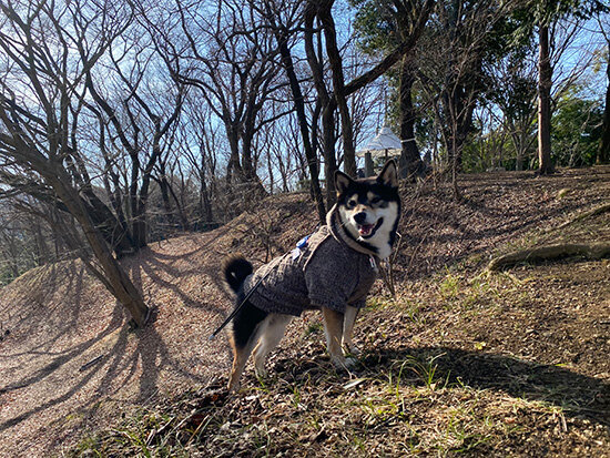 琥大朗