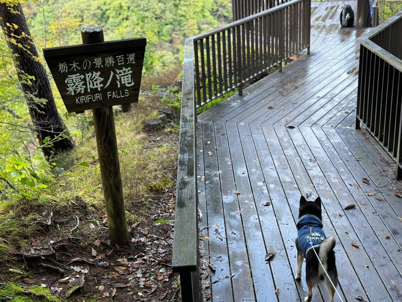 霧降の滝