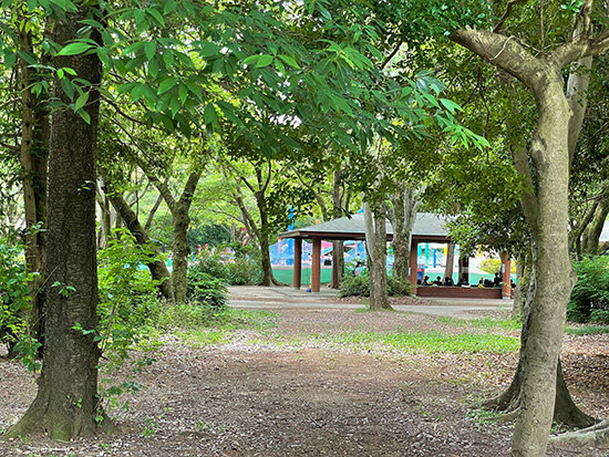 昭和記念公園の遊具