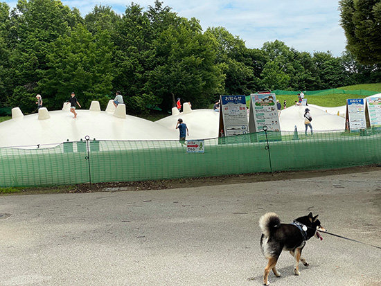 昭和記念公園の遊具