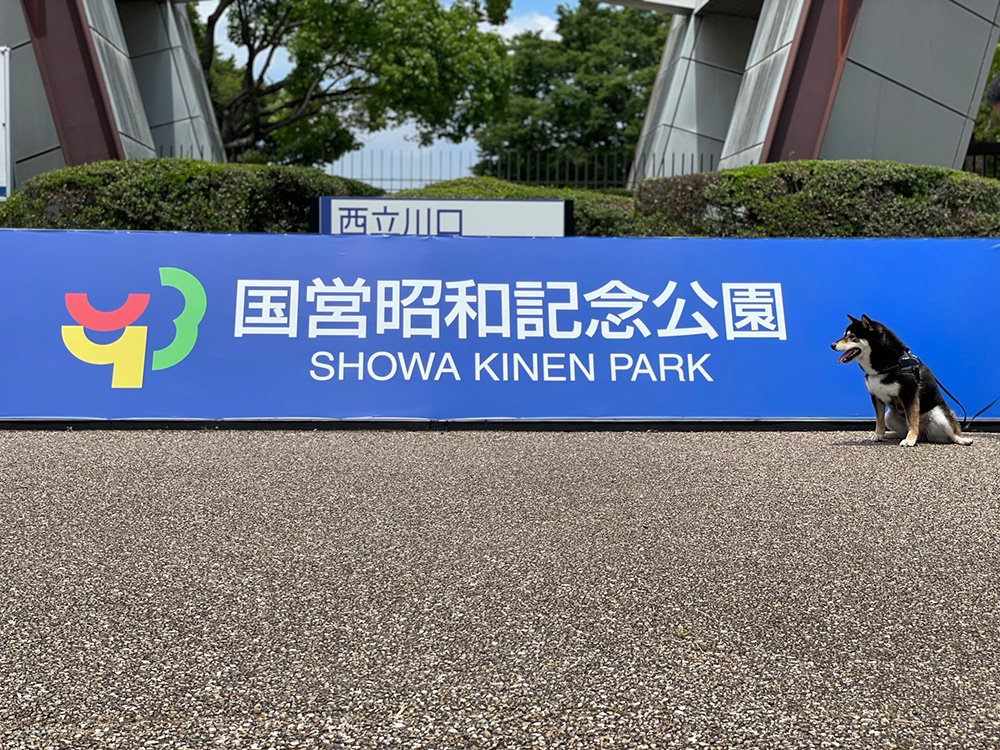 【東京都立川市】国営昭和記念公園を散歩♪あまりにも広すぎます！ イメージ