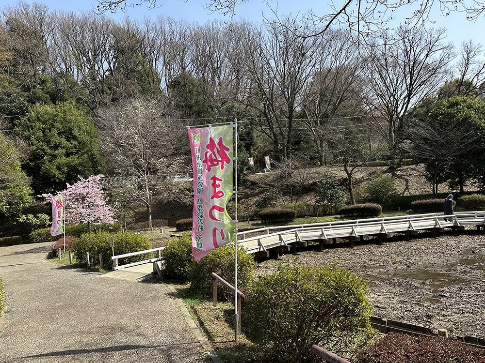 町田薬師池公園(四季彩の杜) 梅まつり
