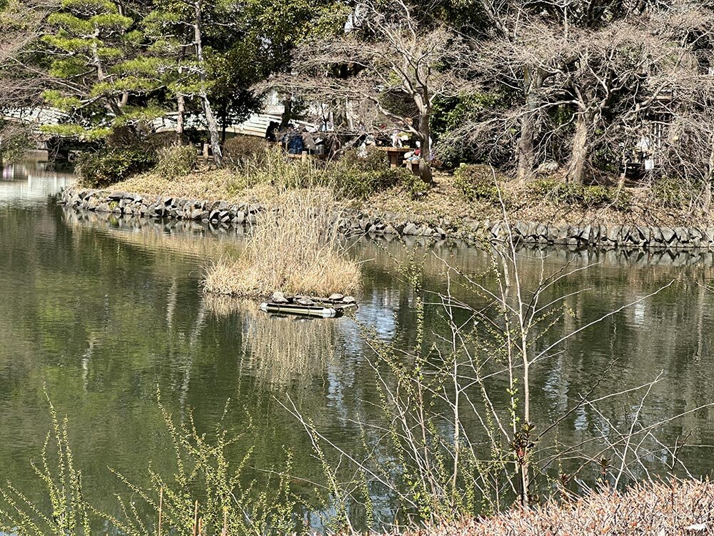 町田薬師池公園(四季彩の杜) 梅まつり
