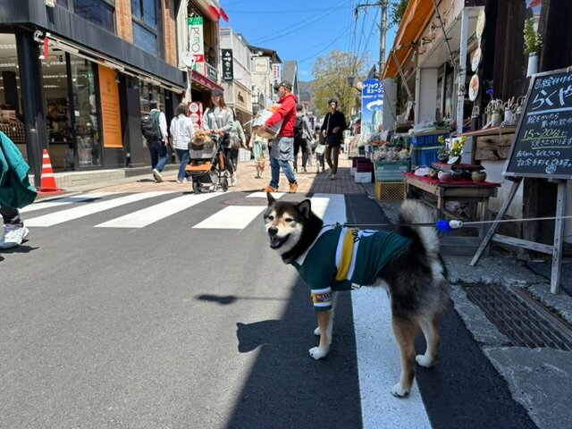 旧軽井沢銀座通り