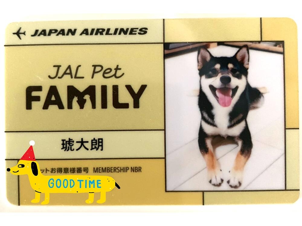 わんこの飛行機旅行 JALペットファミリーのカード