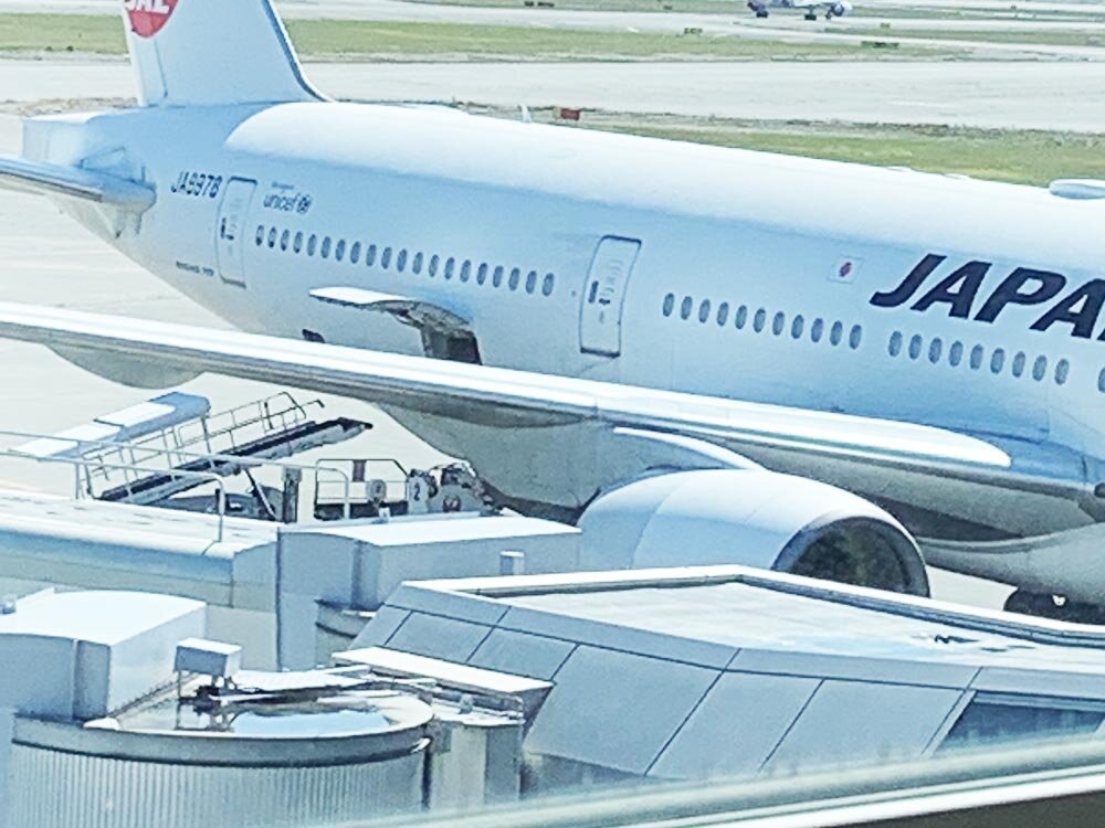 わんこの飛行機旅行 乗るところ
