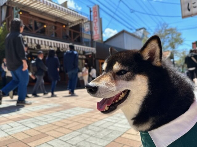 旧軽井沢銀座通り