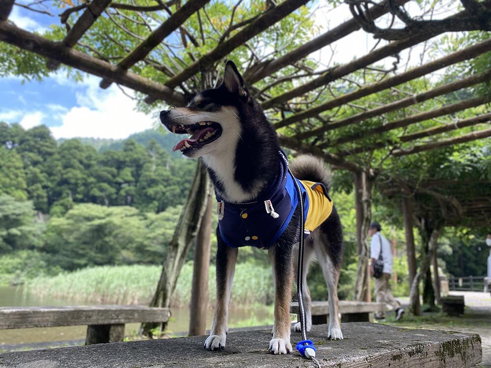 恩賜箱根公園