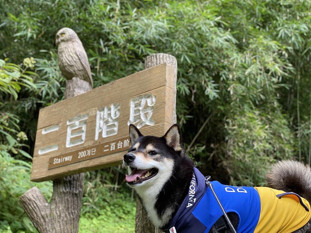 恩賜箱根公園