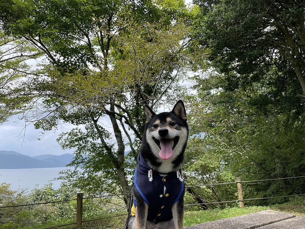 恩賜箱根公園