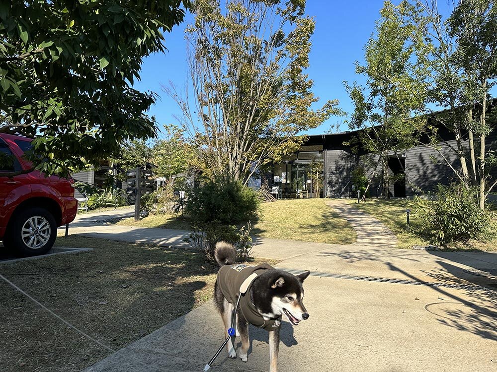 町田薬師池公園(四季彩の杜) 西園のウェルカムゲートエリア