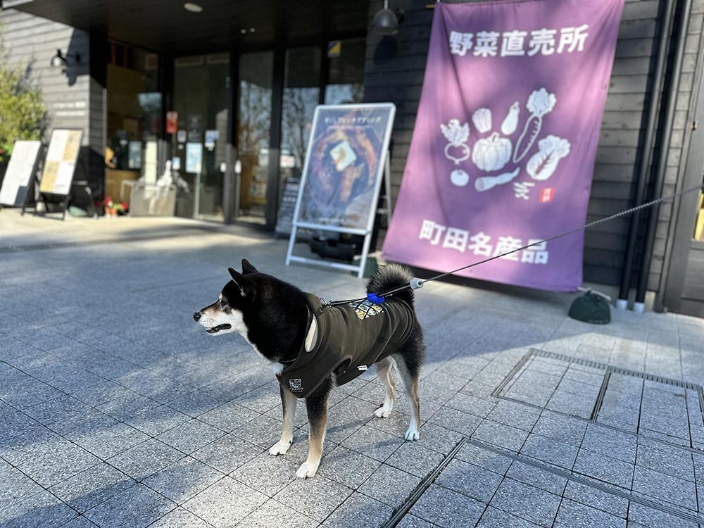 町田薬師池公園(四季彩の杜) 農産物直売所